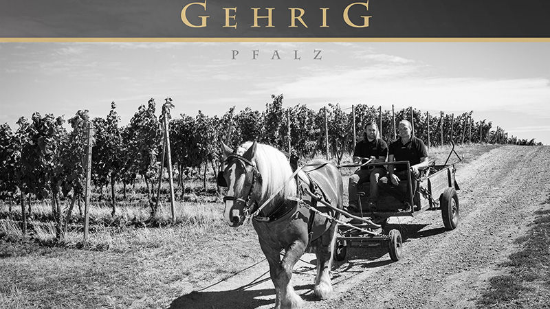 G�ttingen-Bad D�rkheim