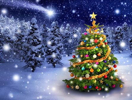 Jul/Ny�rs - resor  2025-2026